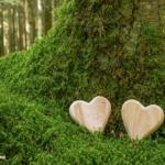 Why Opt for a Green Burial?