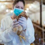 Addressing Public Health Concerns Over Avian Flu