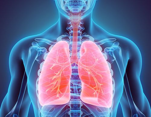 Determining If the Patient’s Infection is Bacterial or Viral