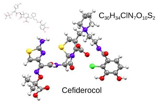 Cefiderocol in Treating Critically Ill Patients with Carbapenem-Resistant Gram-negative Bacterial Infections