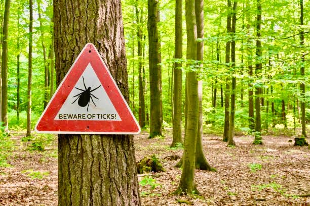 Tick, Tick, Spring Signals the Spread of Lyme Disease in the US