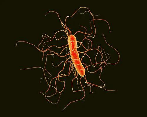 VE303 Potential to Relief to Those Impacted by Recurrent Clostridioides difficile Infection