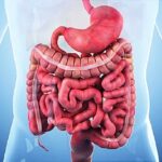 Prospects for Crohn’s Relief Brighten With New Advancements