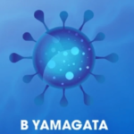 Is the Influenza B/Yamagata Virus Now Extinct?