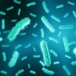 Investigating the E coli Outbreak in City A, Utah