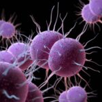 The Surge in Antibiotic Resistance Observed Among Gonorrhoea