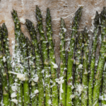 Roasted Lemon Parmesan Garlic Asparagus