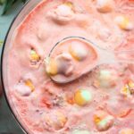 Sherbet Punch | The Recipe Critic