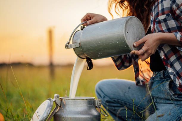 Outbreak Linked to Raw Milk from California Farm