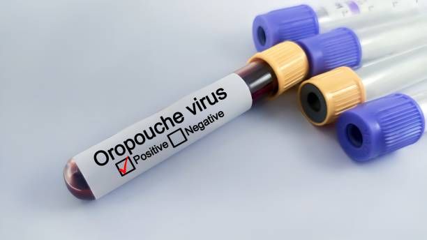 Oropouche Virus Disease and Its Impact on Public Health