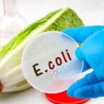 E coli Outbreak Linked to Contaminated Lettuce