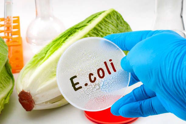 E coli Outbreak Linked to Contaminated Lettuce