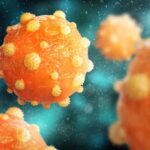 New Immunotherapy Approach Targets Immune System to Treat Chronic Hepatitis B