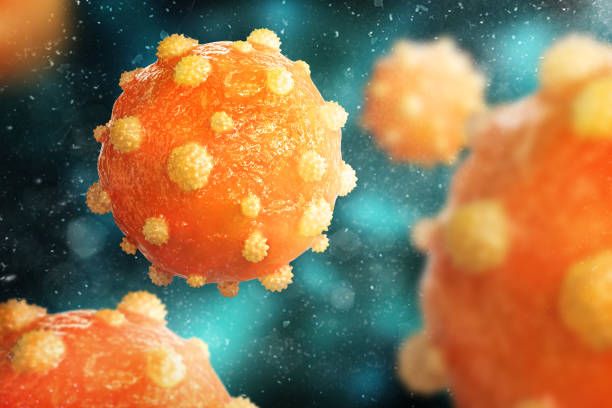 New Immunotherapy Approach Targets Immune System to Treat Chronic Hepatitis B