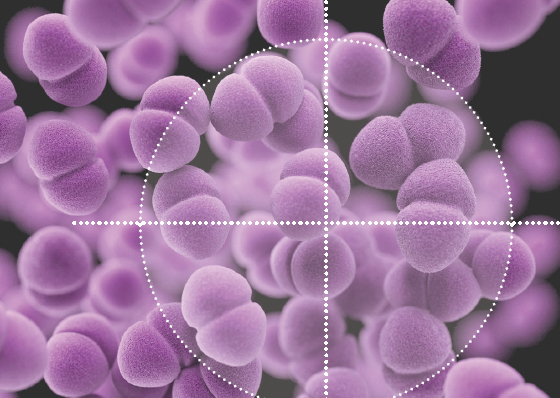 Daptomycin Resistance Among Enterococci Is a Growing Antimicrobial Resistance Threat