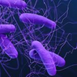 Early Geriatric Assessment Improves Outcomes for Older Patients With C difficile Infection