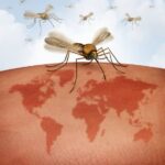 Climate Change Fuels the Global Spread of Arboviruses