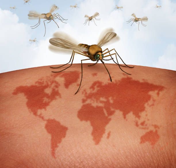 Climate Change Fuels the Global Spread of Arboviruses